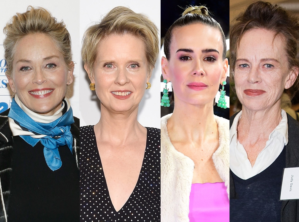  Sharon Stone,  Cynthia Nixon, Sarah Paulson, Judy Davis