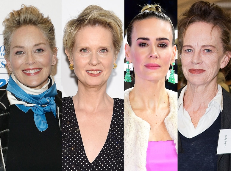 Sharon Stone, Cynthia Nixon, Sarah Paulson, Judy Davis