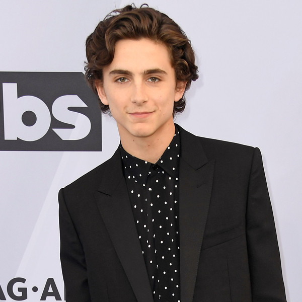 What Was Timothée Chalamet Reading At The 2019 Sag Awards