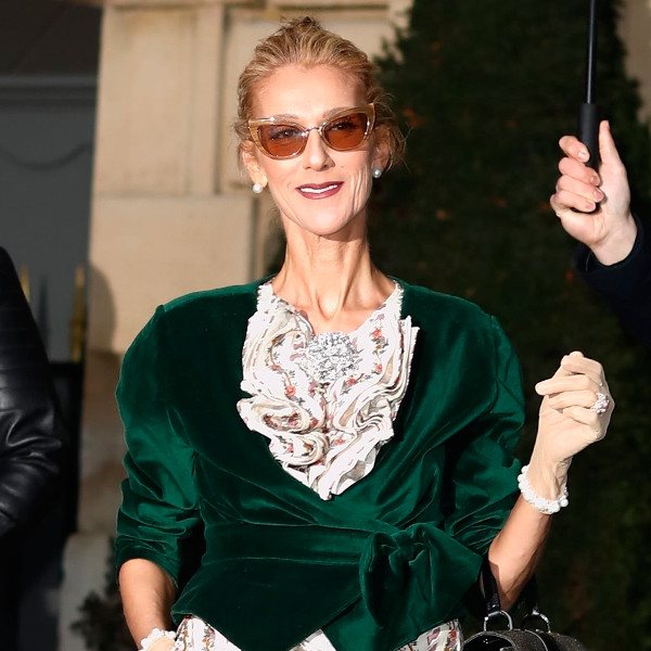 Celine Dion Claps Back At Body Shamers Who Criticize Her Slimmer Frame E Online