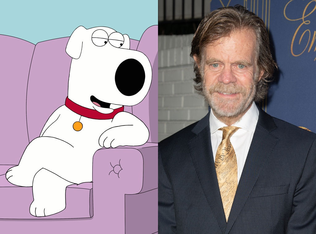 An Almost Very Different Brian From Secrets About Family Guy You   Rs 1024x759 190129142017 1024 Brian William H Macy Family Guy.cl.012929 