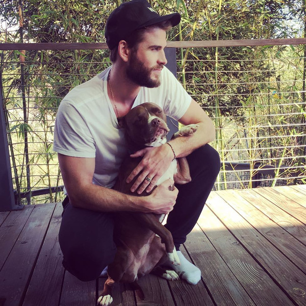 Liam Hemsworth, Dog