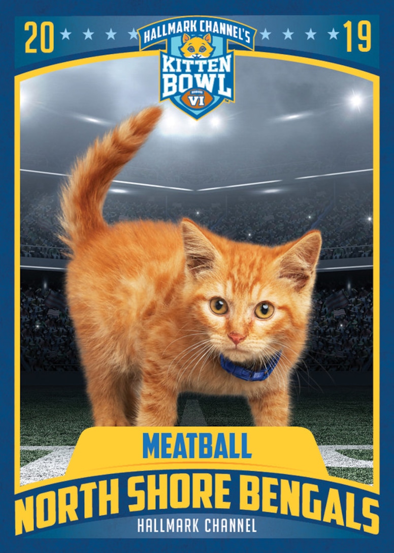Kitten Trading Cards, Kitten Bowl 6