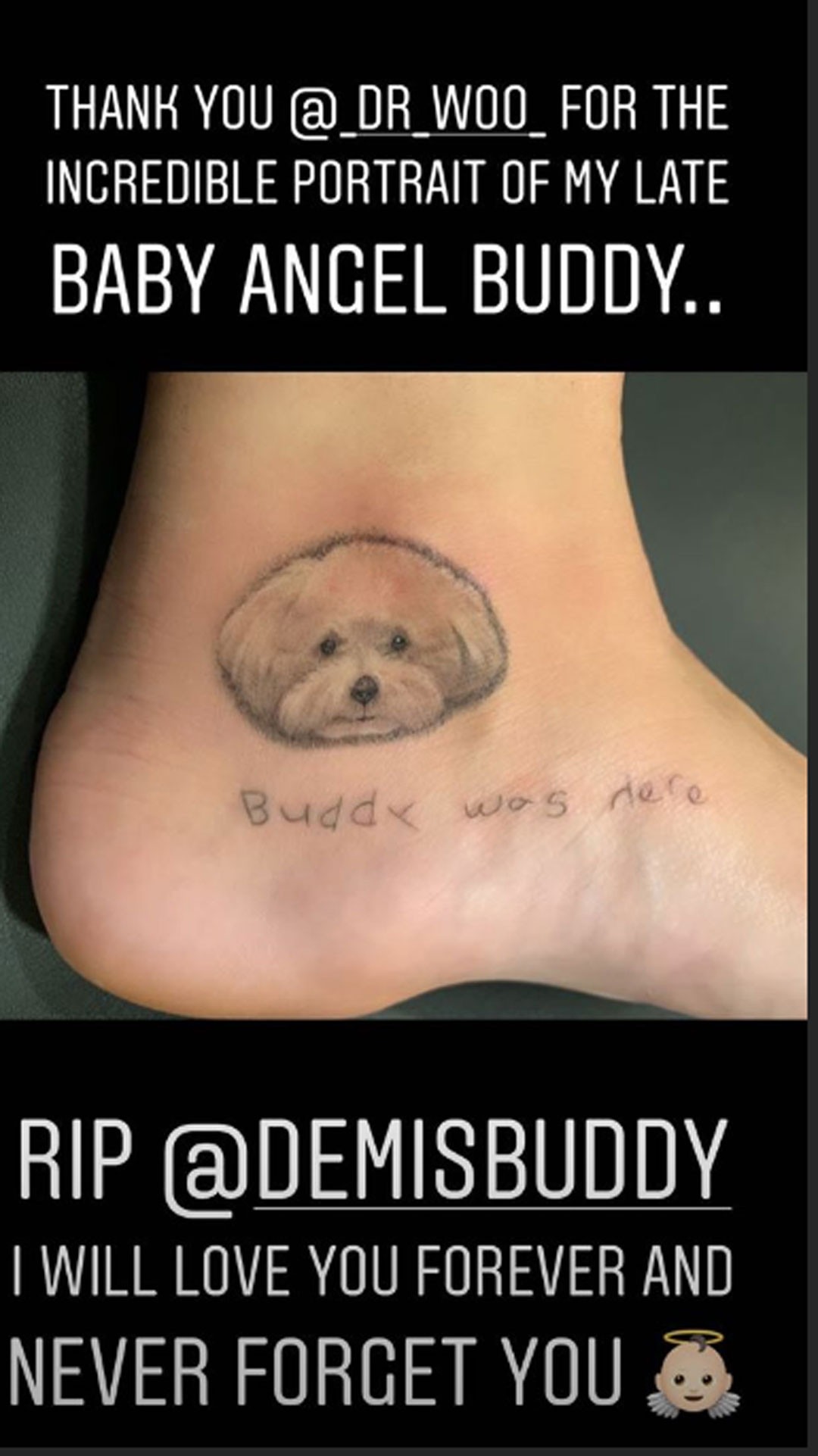 Demi Lovato Gets a New Tattoo of Her Late Dog Buddy - Big ...