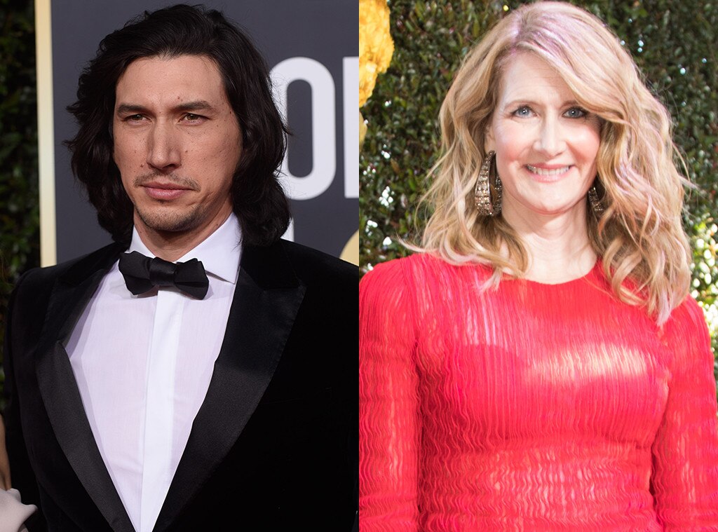 Adam Driver, Laura Dern, 2019 Golden Globe Awards