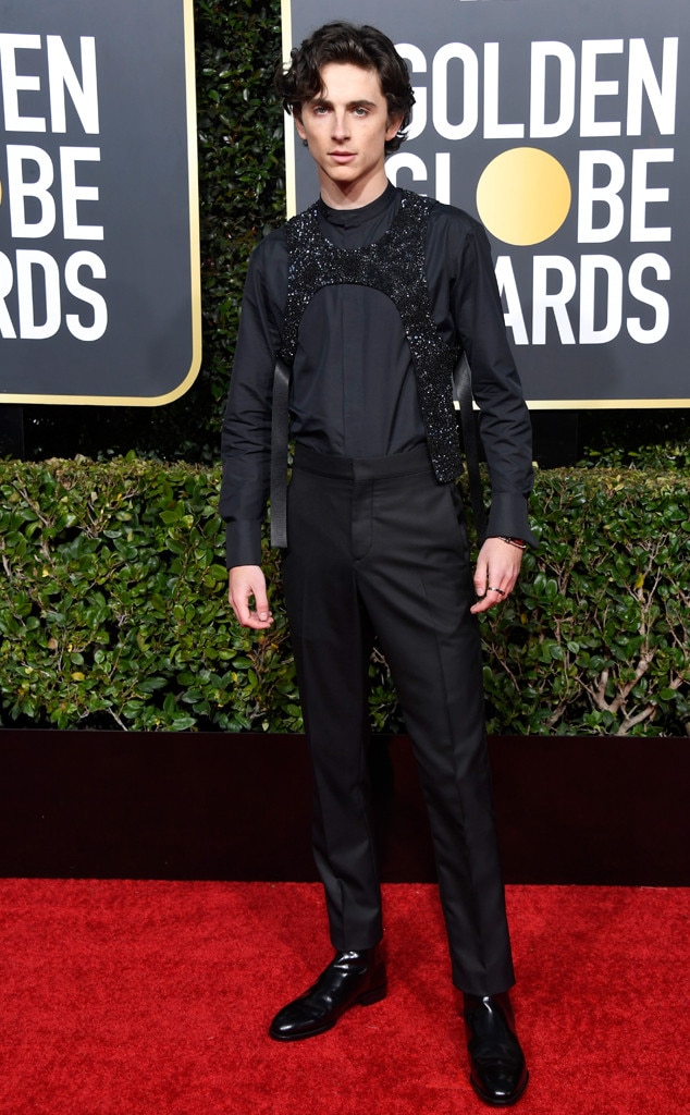 Timothee Chalamet from 2019 Golden Globes Red Carpet Fashion E! News