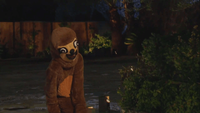 Bachelor GIFS