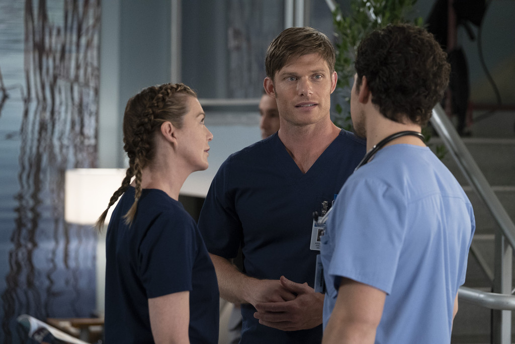 Link from Grey's Anatomy: A Brief History of Meredith's Love Interests ...