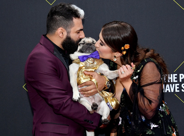 Doug the Pug, 2019 E! People's Choice Awards, Candids