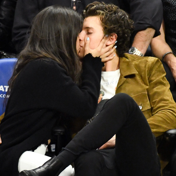 Shawn Mendes, Camila Cabello