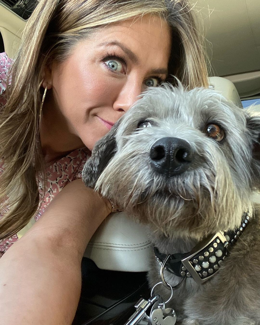 Jennifer Aniston, Dog, Pets