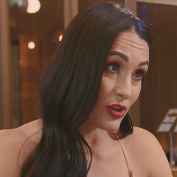 Nikki Bella Tries Convincing Brie to Ditch Retirement for WWE Comeback