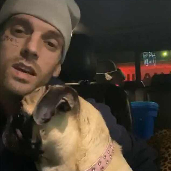Aaron Carter Is Now Feuding With Peta Over Video Of His Mom
