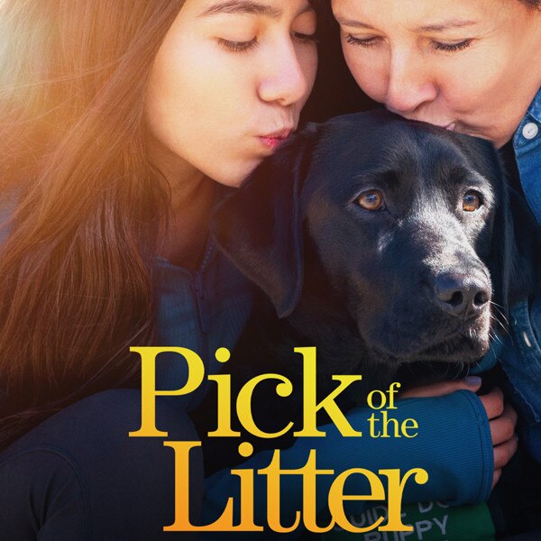 the litter