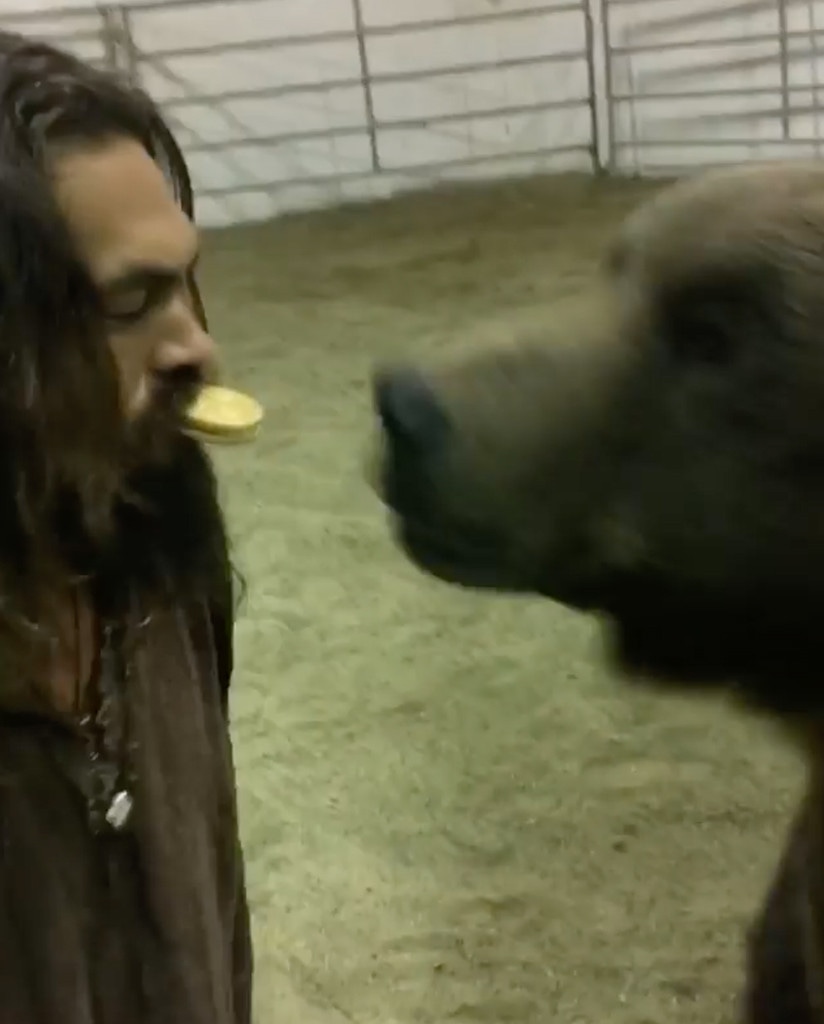 Jason Momoa, Bear