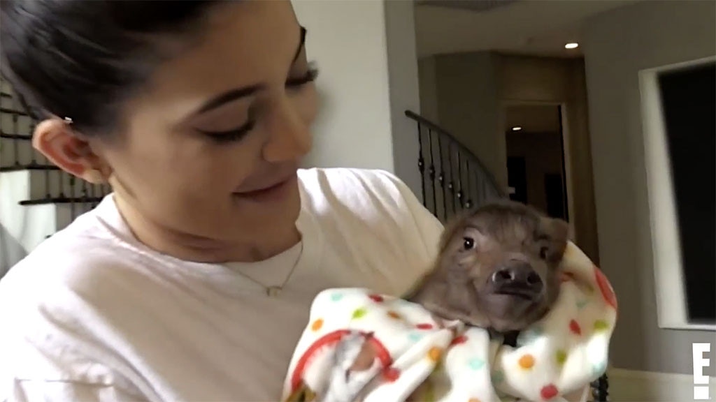 Kylie Jenner, Pig, Chicken, KUWTK, Keeping Up With the Kardashians