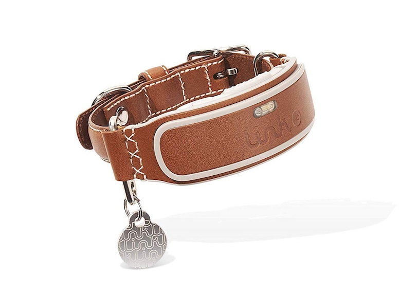 Oprah's Favorite Thing, Link AKC Smart Dog Collar with GPS, For the Pets