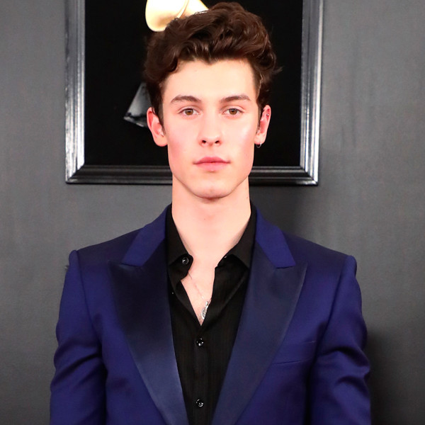 Shawn Mendes Shows Off His Abs in New Calvin Klein Ad | E! News Australia