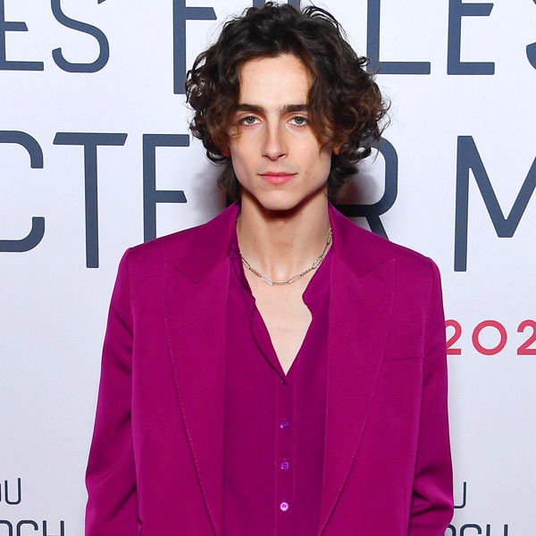 Timothee Chalamet and The King Cast on the Movies Memeable Haircuts  Exclusive  wusa9com