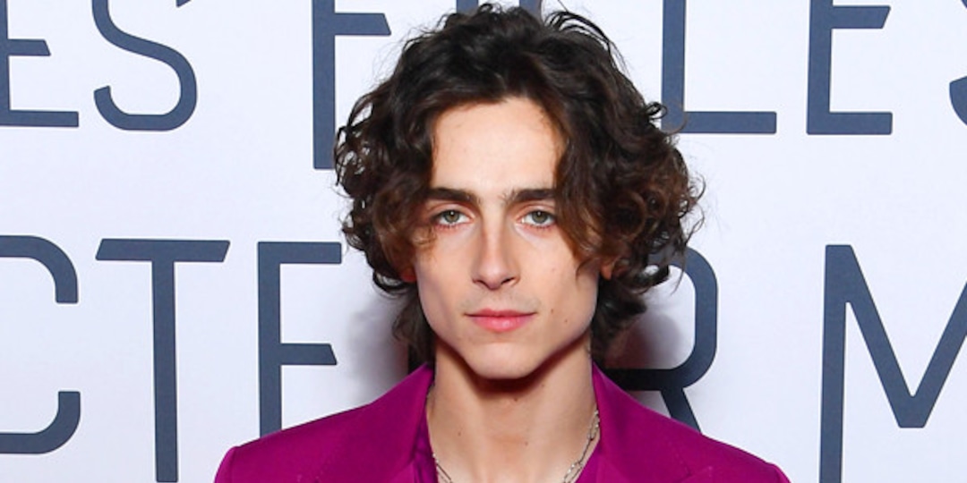You Need to See Timothée Chalamet's New Goatee - E! Online