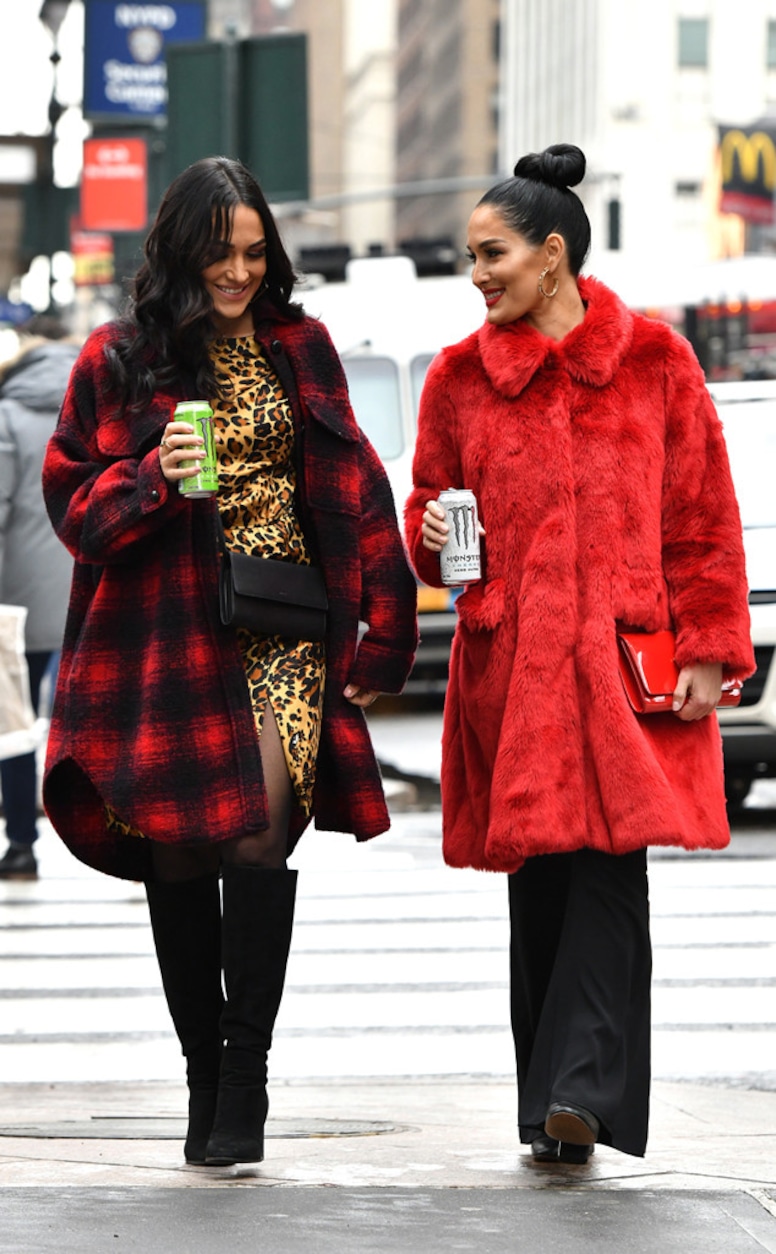 Nikki Bella, Brie Bella