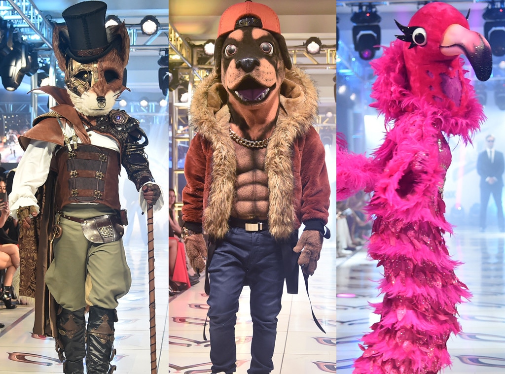 The Fox, The Rottweiler, The Flamingo, The Masked Singer