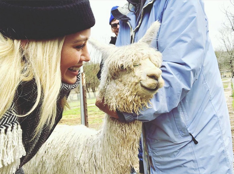 Hilary Duff, Stars Celebrate Valentine's Day