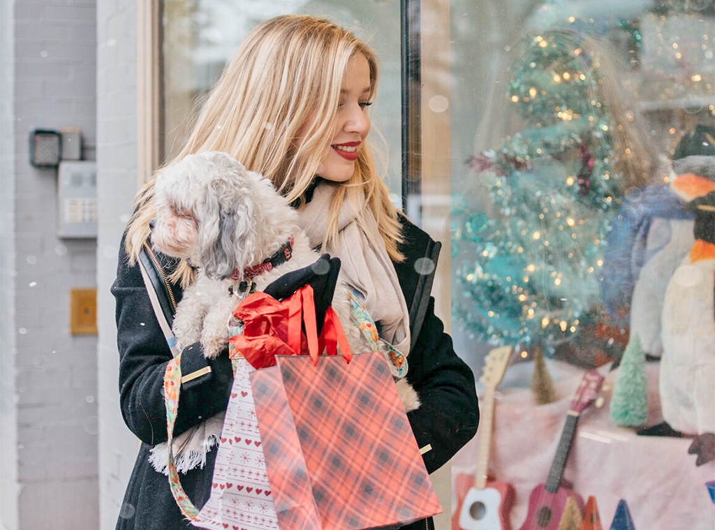 Winter Shopping Sales, Stock Image