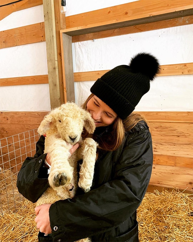 Katherine Schwarzenegger, Chris Pratt, Farm, Instagram