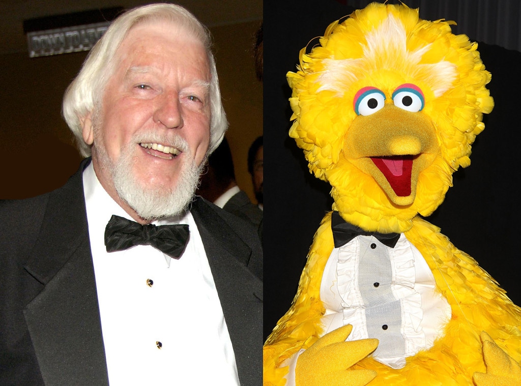 Caroll Spinney, Big Bird