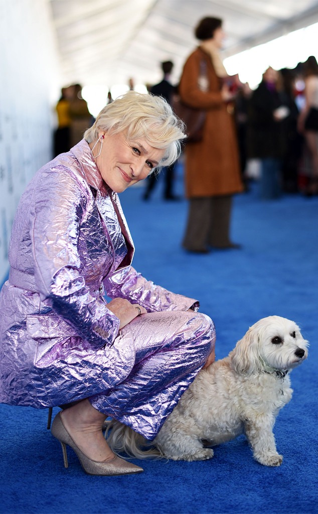 Glenn Close, dog, 2019 Film Independent Spirit Awards