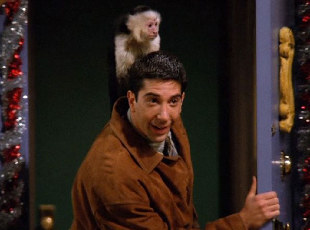 David Schwimmer, Marcel The Monkey, Friends