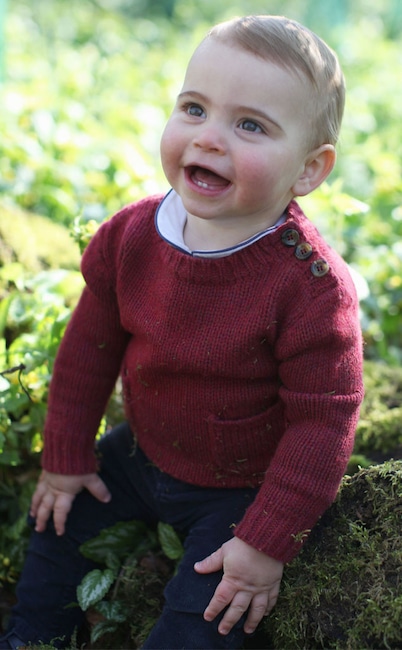 Prince Louis, 1 Year Portrait