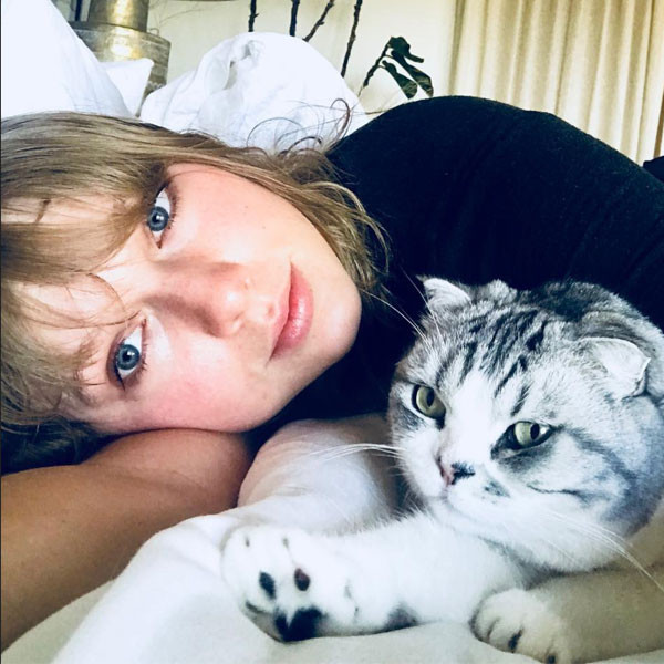 Taylor Swift, Meredith, Cat