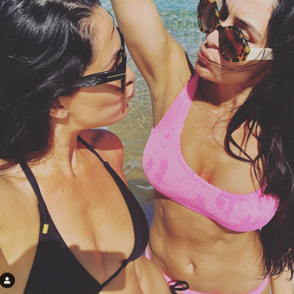 Wwe Nikki Sex - Celebrate Nikki & Brie Bella's Birthday With Their Sexiest Pics!