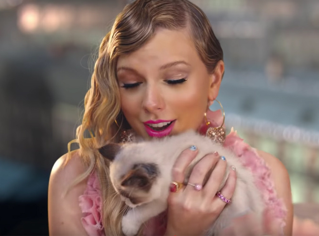 The Sweet And Significant Story Behind Taylor Swifts New Cat E