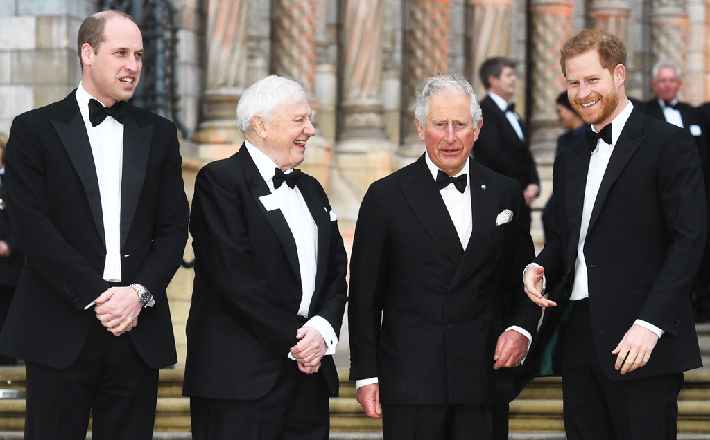 Prince William, Sir David Attenborough, Prince Charles, Prince Harry