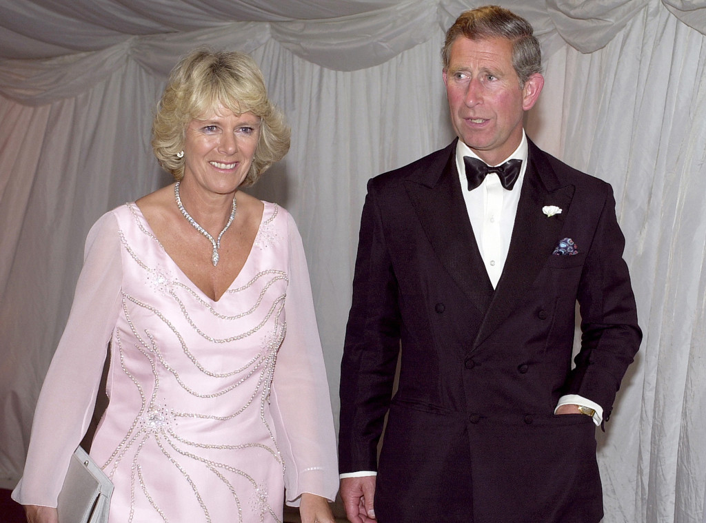 The Truth Camilla's Life Before She Ended Prince Charles - E! Online