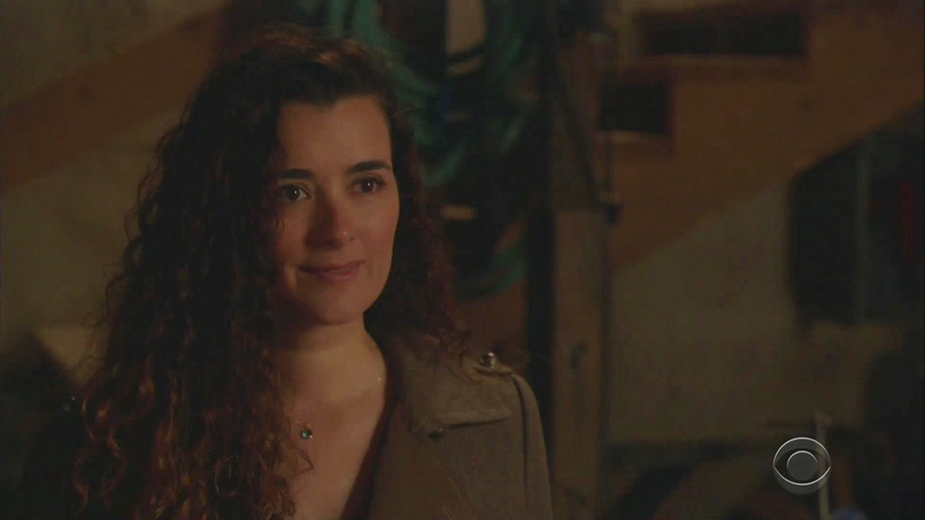 NCIS, Cote de Pablo