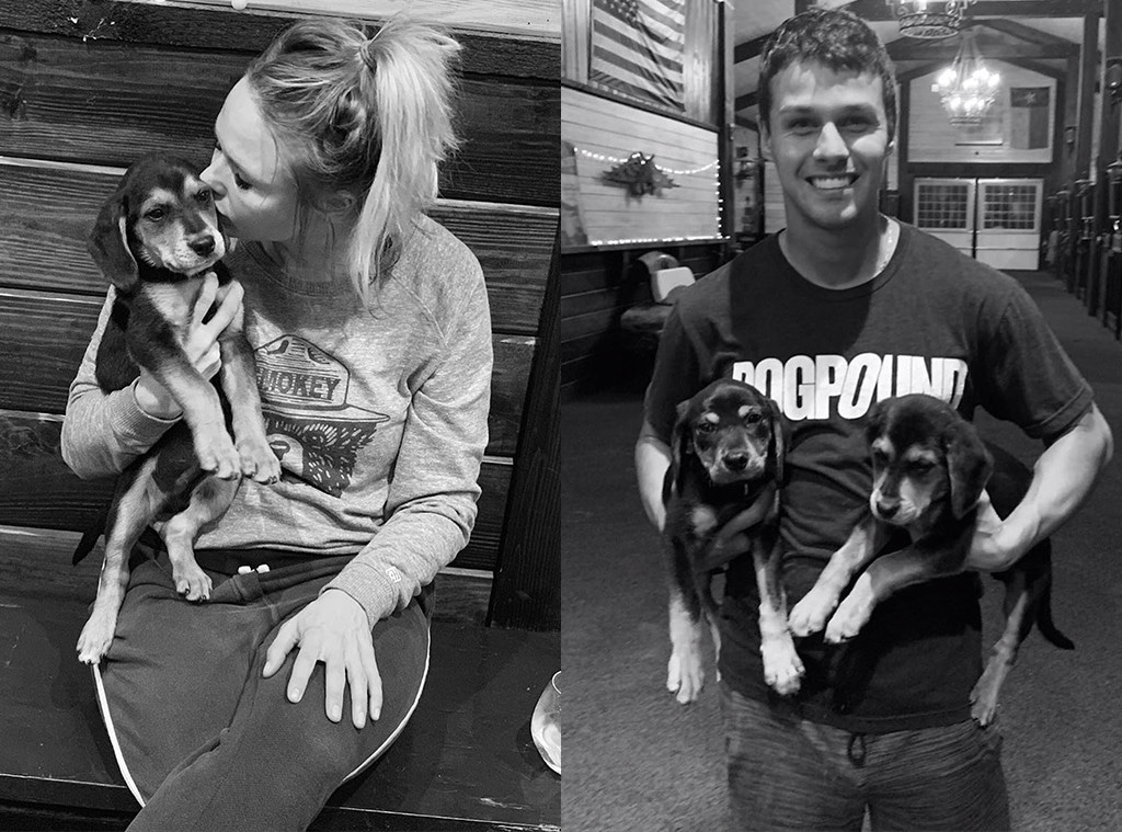 Miranda Lambert, Brendan McLoughlin, Puppies