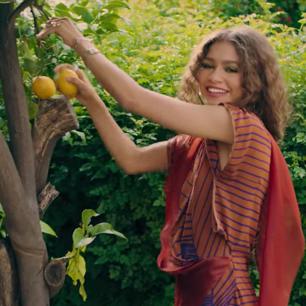 Zendaya Takes You Inside Her Outdoor Oasis In Vogues 73 Questions E