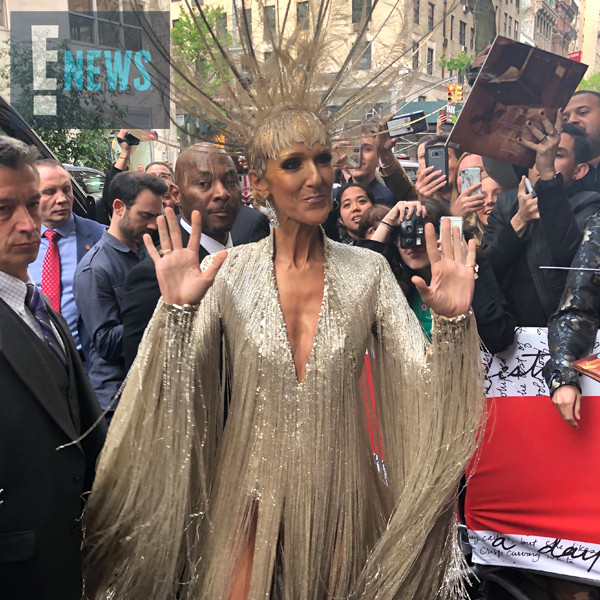 Celine Dion Was Actually Prepared to ''Camp'' Out at the 2019 Met Gala