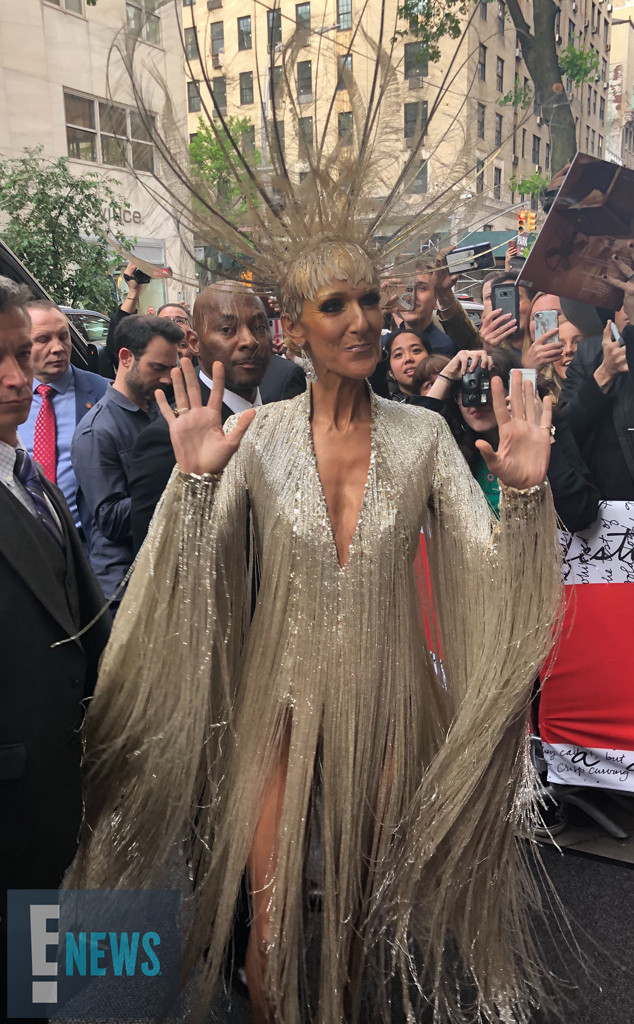 Celine Dion, 2019 Met Gala 