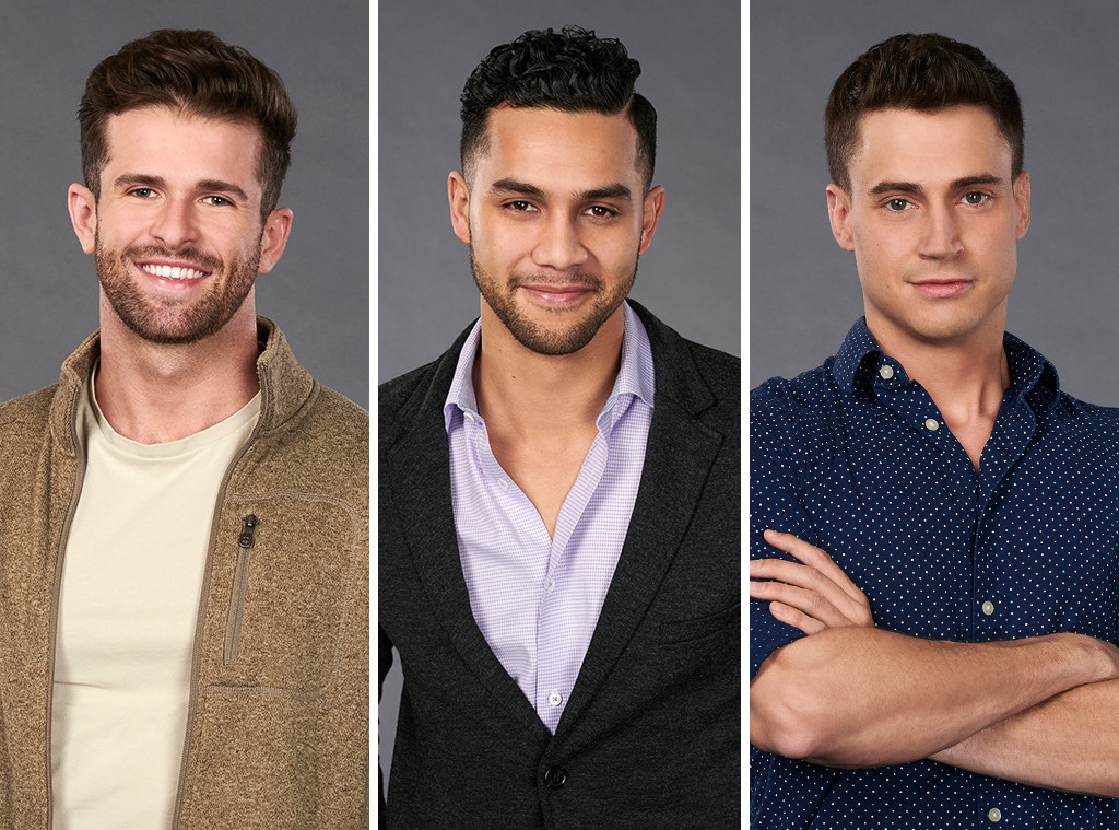 The Bachelorette, Season 15