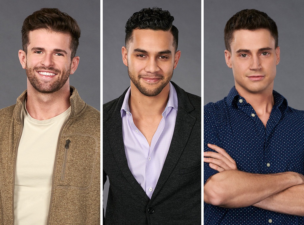 The Bios for Hannah Brown's The Bachelorette Contestants Are Epic E! News