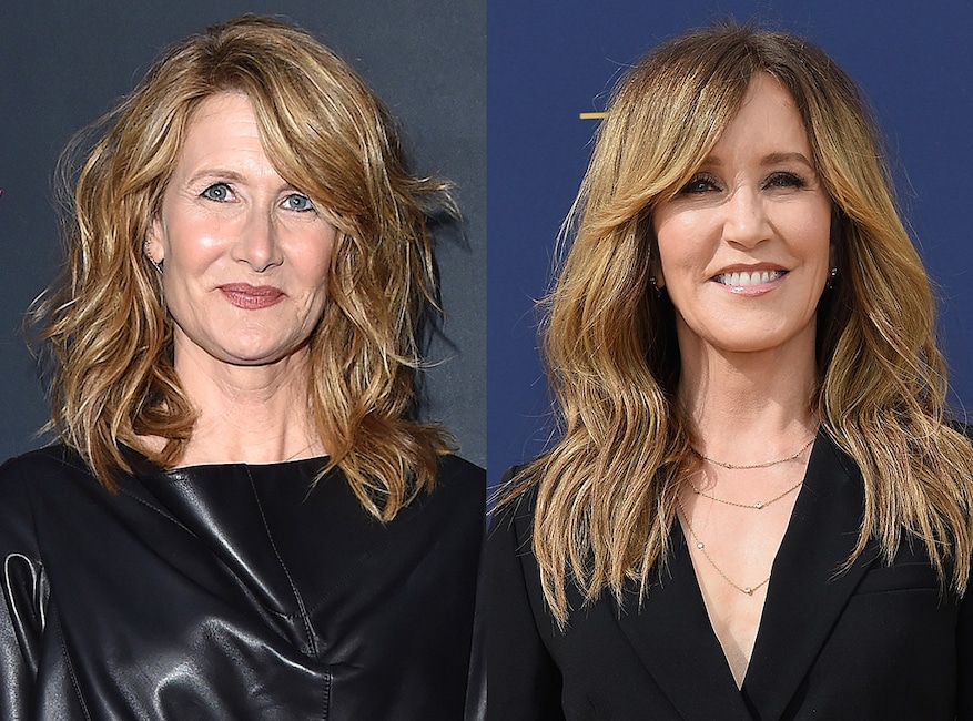 Laura Dern, Felicity Huffman