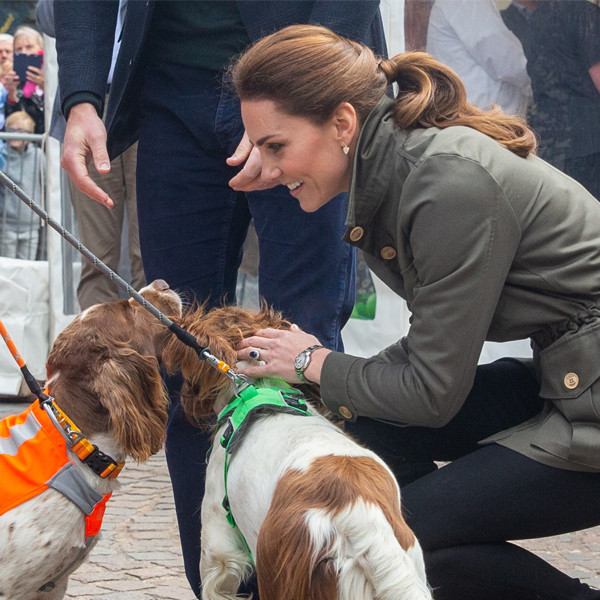 what kind of dog do william and kate have