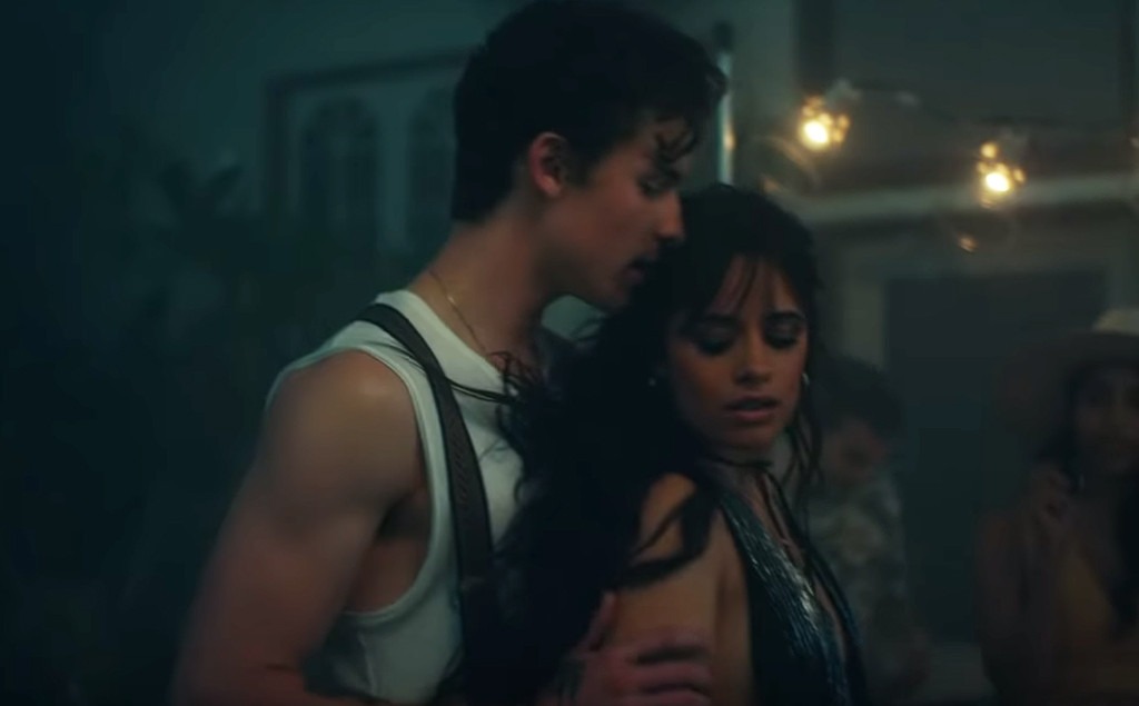Camila Cabello Says Fans Will Hate Her For This Shawn Mendes