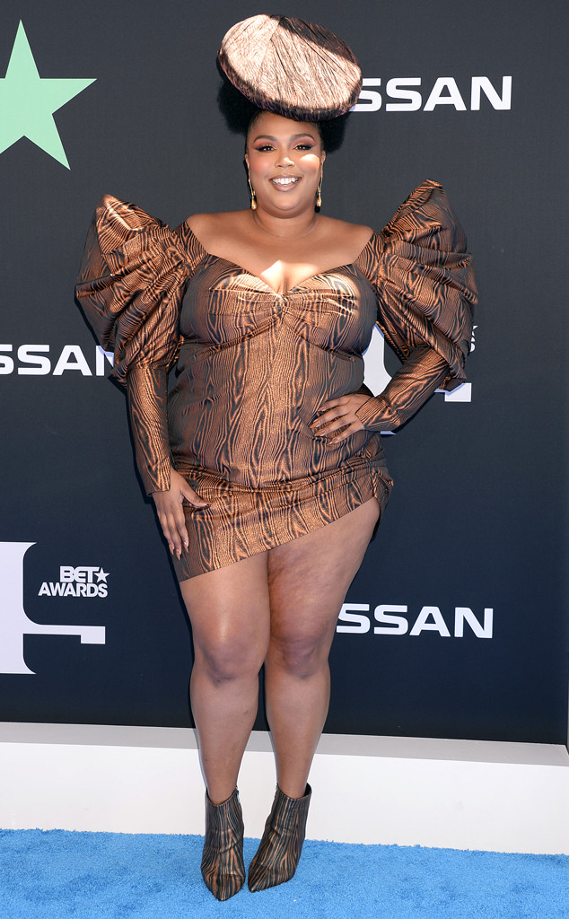 Lizzo Speaks Out About the 'Fake Doctors' in the Comments: 'Bodies Are Not  All Designed to Be Slim With a Six Pack': Photo 4536378, Lizzo Photos