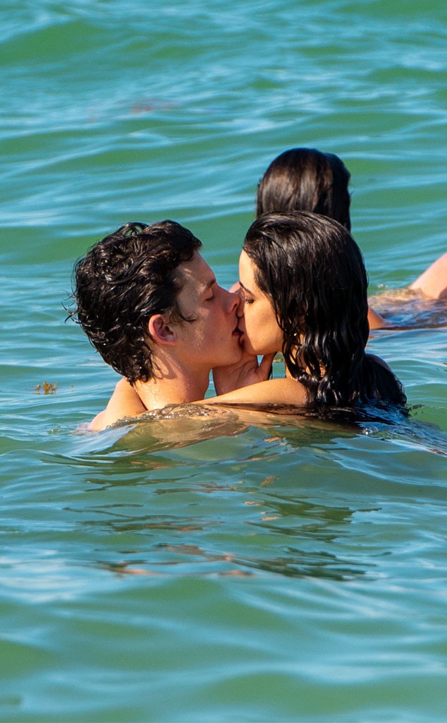 Shawn Mendes, Camila Cabello